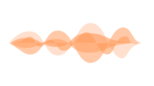 VOICE COMMENT